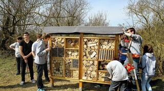 <p>Letzte Arbeiten am Insektenhotel: Die Achtklässler des Gauß-Gymnasiums geben der Unterkunft für Wildbienen und Co. den letzten Schliff.</p>