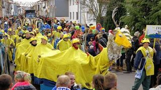 In eine Hochburg der Narren verwandelt sich Altlußheim am Rosenmontag: Dann ziehen wieder zahlreiche Fußgruppen und Wagen durch die Straßen.