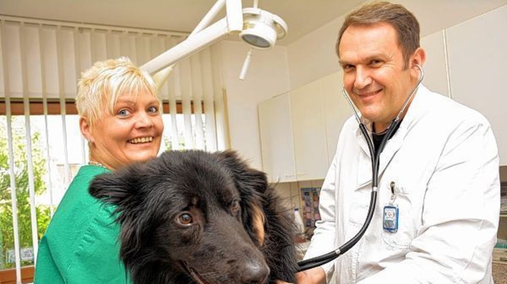 Tierarzt Dr. Branko Petrovic