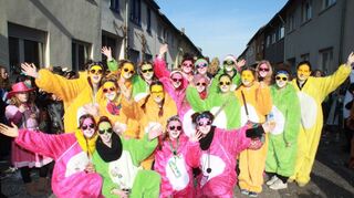 <p>Hockenheim Faschingsumzug, Aktivengarde der Narrhalla Ketsch 25.02.2017 </p>