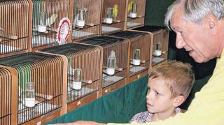 <p>Der Vorsitzende des Brühler Kanarienzucht- und Vogelschutzvereins, Josef Kubit-schek, gibt 2011 bei der Ausstellung an den damals Sechsjährigen Leon-Luca Fritz seinen reichen Erfahrungsschatz im Umgang mit Kanarien weiter.</p>