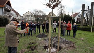 Nah am Völkerkreuz (rechts): Adolf Stier (links) spricht zu den Teilnehmern der kleinen Feierstunde zur Pflanzung der vom Ehrenbürger gespendeten Eiche.