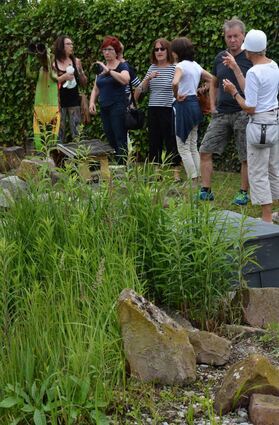 Erstaunliches hinter hohen Hecken: Im Garten von Familie Rösch warten besondere Eindrücke.
