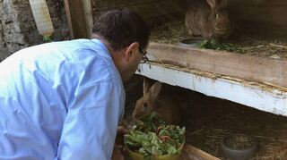 Den beiden Hasen Clara und Peter bringt Pater Stefan immer den Salat vom vergangenen Tag – das schmeckt.