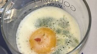 Schmankerl à la Tristan Brandt: Spargel mit Landei und Schinken kombiniert.