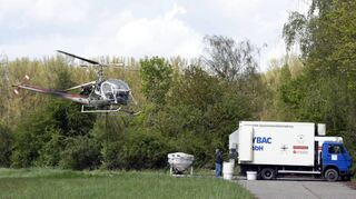 Unser Archivfoto zeigt die Schnakenbekämpfung der KABS mit einem biologischen Wirkstoff, der, so wie hier von der Brühler Kollerinsel mit einem Hubschrauber in Form eines tiefgefrorenen Granulats über dem Auwald ausgestreut wird.