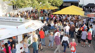 Tolle Kulisse: Die Besucher genießen bei sommerlichen Temperaturen die Angebote der Beschicker und das Gespräch mit den anderen Gästen aus nah und fern, die die gastliche Atmosphäre zu schätzen wissen.
