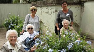 Diese Abwechslung weckt Kindheitserinnerungen