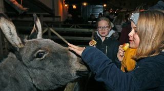 Anziehungspunkt lebendige Krippe: Zoé und Annmarie (r.) geben dem Esel gerne Streicheleinheiten, behalten ihre Äpfel aber lieber für sich.