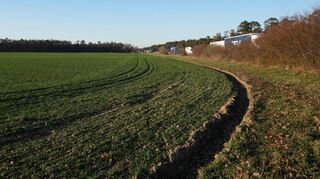Von drei Seiten durch Wald geschützt, von Süden von der Sonne bestrahlt: „Die Felder sind ideal für den Gemüseanbau, besonders für Spargel“, sagt Landwirt Rainer Astor über das Areal an der A 6.