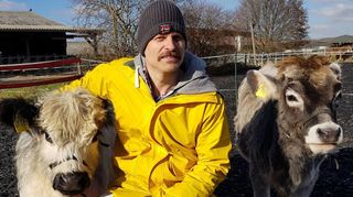 Für Joar Berge sind seine Rinder – das schottische White Galloway Dagi (l.) und das Tiroler Grauvieh Emma (r.) – keine Nutz-, sondern Haustiere und so werden sie auch von ihm behandelt.