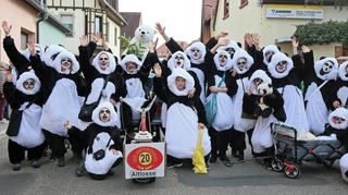 „Die Sippschaft vum Rhoi“ holt bei den Fußgruppen den zweiten Platz. Die niedlichen Pandabären dürften bei den fast 20 Grad Celsius am Sonntag ordentlich ins Schwetzingen gekommen sein.