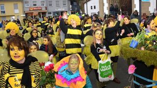 Die Bienen des Tennisclubs sind niedlich anzusehen, machen aber auf ein ernstes Problem aufmerksam. Sie werden Dritte bei den Fußgruppen.