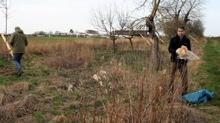 Auch der Bevollmächtigte des Landes beim Bund, Dr. Andre Baumann (r.), sammelt auf der von der Lokalen Agenda betreuten Streuobstwiese Plastikmüll ein.