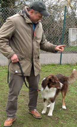 Holger Wies übt mit Hündin „Elisabeth“ das Stillstehen.