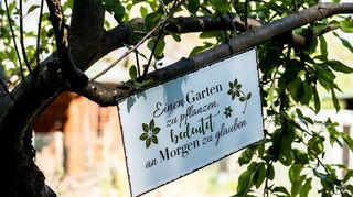 Endlich wieder etwas Echtes in den eigenen Händen spüren. Die Lust am Kleingarten ist ungebrochen. Zwischen Gemüsebeeten und Stauden bahnt sich ein Generationswechsel an.