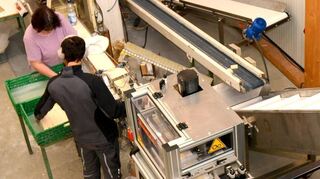 Der Seifenstrang (unten rechts) kommt aus der Produktionsmaschine, wird in Por-tionsstücke geschnitten und von Mitarbeitern in Transportkörbe gesetzt.