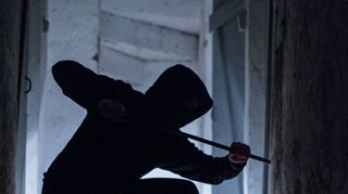 Rund 32 Prozent mehr Täter haben 2019 in Oftersheim besonders schwere Diebstähle begangen. Geschuldet ist dieses Plus unter anderem einer Serie von Gartenaufbrüchen in der Kleingartenanlage „Kohlwald“.