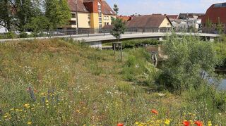 Neue Möglichkeiten für Flora und Fauna hat das HÖP-Gelände geschaffen. Dafür wurde unter anderem das Bett des Kraichbaches komplett umgestaltet.
