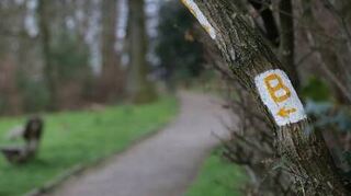 Der „Blütenweg“ ist einen eigenen Tagesausflug wert.