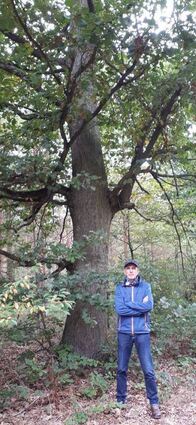 Heinz Eppel ist mindestens einmal die Woche im Entenpfuhlwald.