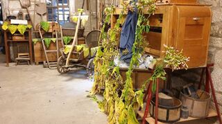 Im restaurierten Mühlengebäude aus dem frühen 17. Jahrhundert ist der Tabak in einen der Räume zur Veranschaulichung des landwirtschaftlichen Lebens integriert worden. Eine Fädelmaschine soll folgen.