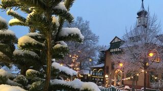 Auch wenn der Weihnachtsmarkt in diesem Jahr nicht wie gewohnt stattfinden kann, soll die Villa Meixner im festlichen Glanz erstrahlen. Nur den Schnee kann die Gemeindeverwaltung nicht unbedingt garantieren.