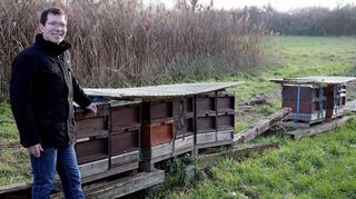 Die Bienen halten Winterschlaf auf einem Feld in der Rheinaue. Jürgen Ullrich muss regelmäßig kontrollieren.