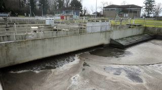 Zwischen 5500 und 6000 Kubikmeter Abwasser laufen jeden Tag durch die Reini-gungsstufen der Kläranlage.