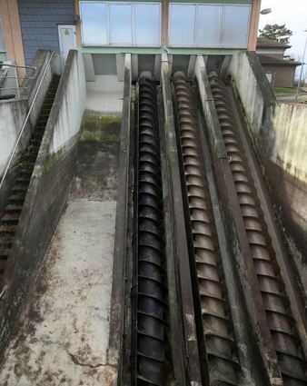 Die Schnecken transportieren das Ab-wasser und die Schmutzstoffe weiter.
