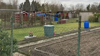 Die Nutzung der kommunalen Kleingärten – hier eine Aufnahme von den Anlagen nahe dem Brühler Friedhof – ist seit einiger Zeit immer häufiger ein Thema für die verpachtende Gemeinde. Nun sollen klare Richtlinien dafür sorgen, dass – anders als auf dem Bild – Partygärten und verwilderte Flächen nicht überhandnehmen.