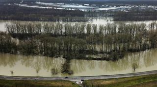 Der Rheindamm von Altlußheim nach Ketsch steht unter Wasser: Im Vordergrund die Straße zwischen den Gemeinden und im Hintergrund die Stadt Speyer.