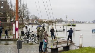 Gerade für die jungen Spaziergänger ist das Hochwasser faszinierend, trotz des trüben Wetters.