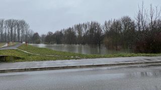 Der Kriegbach kurz vor seiner Mündung in den Rhein. Während der Bach in seinem Bett geblieben ist, sind die Flächen rechts und links des Damms „Land unter“. Druckwasser sorgt großflächig für eine Flutung der Wiesen, die sich auch am Montag noch als Seenlandschaft präsentieren.