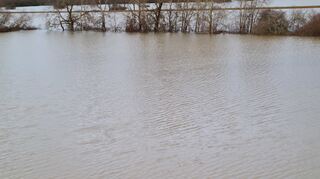 Blick auf das Hochwasser in den Schwetzinger Wiesen am Weidweg, eine Bank am Rande des Fahrradwegs ist gerade noch zu sehen.