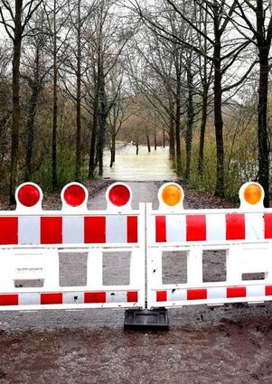 Der Weg zum Wildschweingehege auf der Rheininsel ist gesperrt.