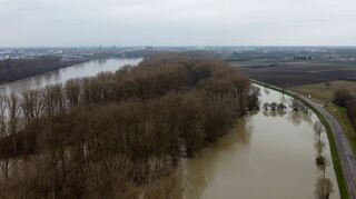 Der Rhein beim Hochwasser im Februrar 2021 aus der Luft fotografiert in Richtung Speyer. Rechts die B 39 und links von ihr, anhand der Bäume zu erkennen, der überschwemmte Radweg Richtung Domstadt. Über den Damm ist das Wasser nicht geschwappt, doch die Auen sind überschwemmt. Das gehört jedoch zu deren Lebensrhythmus.