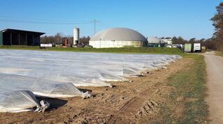 Die Grundlage für die frühe Erntemöglichkeit: Auf dem „Forlenhof“ verwertet eine Biogasanlage die Gülle von rund 250 Milchkühen. Die Abwärme der Anlage heizt das Wasser, das unter den Spargelfeldern zirkuliert.