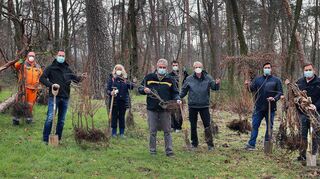 Esskastanien, Feldahorn und Baumhasel für den Stadtwald C 4: Birgit Rechlin (v. l.), Heiko Ruder, Daniel Klatt, Sascha Weber, Stefanie Garcia Laule, Gunter Glasbrenner, Matthias Degen (3. r.), Paul Stumpf und Boris Deucker gehen ans Werk, um die Setzlinge in den Waldboden einzubringen.
