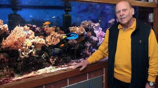In seinem „zweiten Zuhause“: Norbert Dörner ist seit 1974 Mitglied der Zierfischfreunde und hat sich schon in seinem ersten Jahr ehrenamtlich engagiert. In der Aquarienschau hat er unzähligen Besuchern das Verhalten der Fische erklärt.