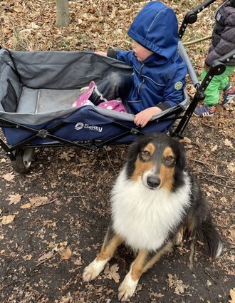 Noel sitzt in seinem Bollerwagen, als die Familie einen Ausflug in den Wald macht. Assistenzhund „Chap“ sitzt daneben und ist immer an der Seite des Fünfjährigen.