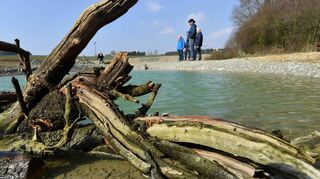 Durch Wind und Strömung auf dem Wasser transportiert und am Ufer abgelagert: Treibholz hat schon viele Künstler zu Objekten inspiriert.