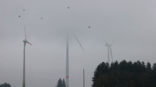 Nebelverhangene Windräder stehen auf einer Bergkuppe.
