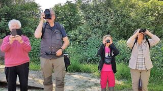Heimatvereinsvorsitzender Heinz Kraus (v. l.) als ehemaliger Beringer, Roland Fuest vom Vogelverein, Emma Ehringer und Gabriele Picke sind Zaungäste.