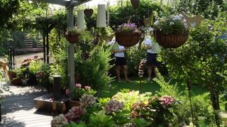 Eine grüne Oase: Dieser schöne Garten siegt im Bereich „naturnah“.