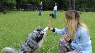 Zum Trainingsende gibt es ein „High five“ zwischen „Timmy“ und Frauchen Julia Pistorius.