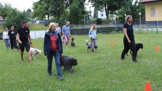 Immer links neben Herrchen laufen – das lernen die Vierbeiner hier auf dem Hundeplatz im Neurott. Viele Wochen musste das Training wegen des Lockdowns pausieren, jetzt geht es endlich wieder los.