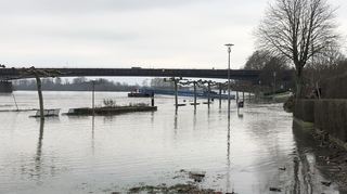 Symbolfoto: Der Rhein war bereits im Januar 2021 am Helmut-Kohl-Ufer in Speyer über die Ufer getreten.