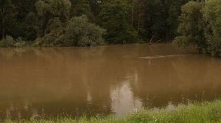 Hier fließt der Kraichbach in den Altrhein. Doch beim aktuellen Hochwasserereignis sieht es so aus, als gebe es nur eine einzige Wasserstraße den Rheindamm entlang.