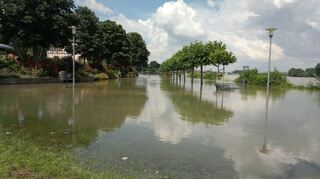 Auch die Domstadt bleibt nicht verschont: Die beliebte Rheinpromenade ist überschwemmt.